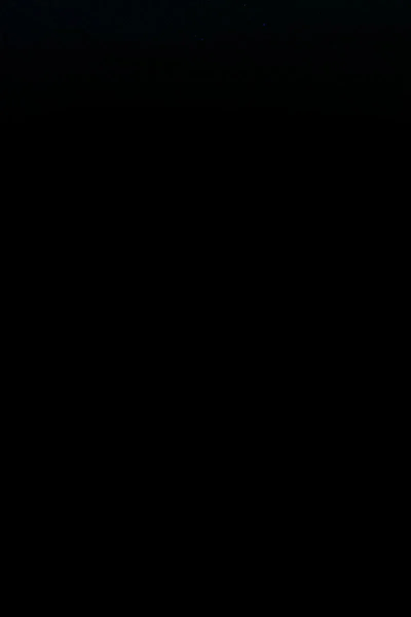 Сторінка 41