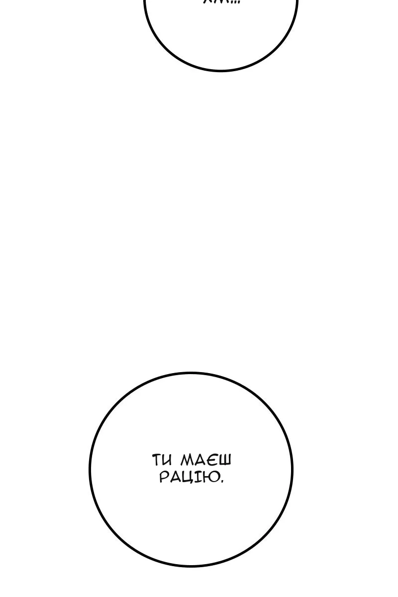 Сторінка 111