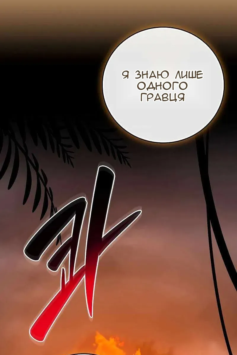 Сторінка 29