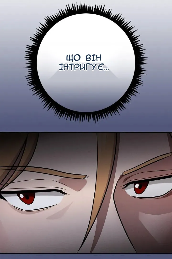 Сторінка 29
