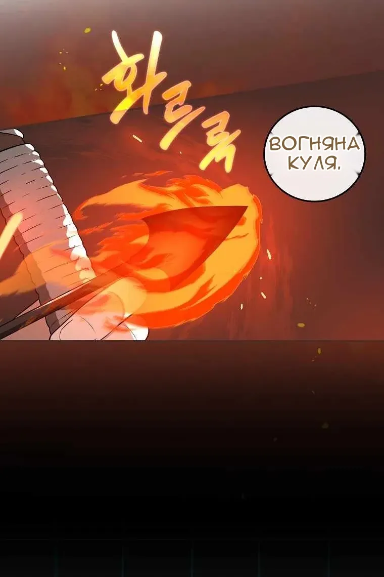 Сторінка 81