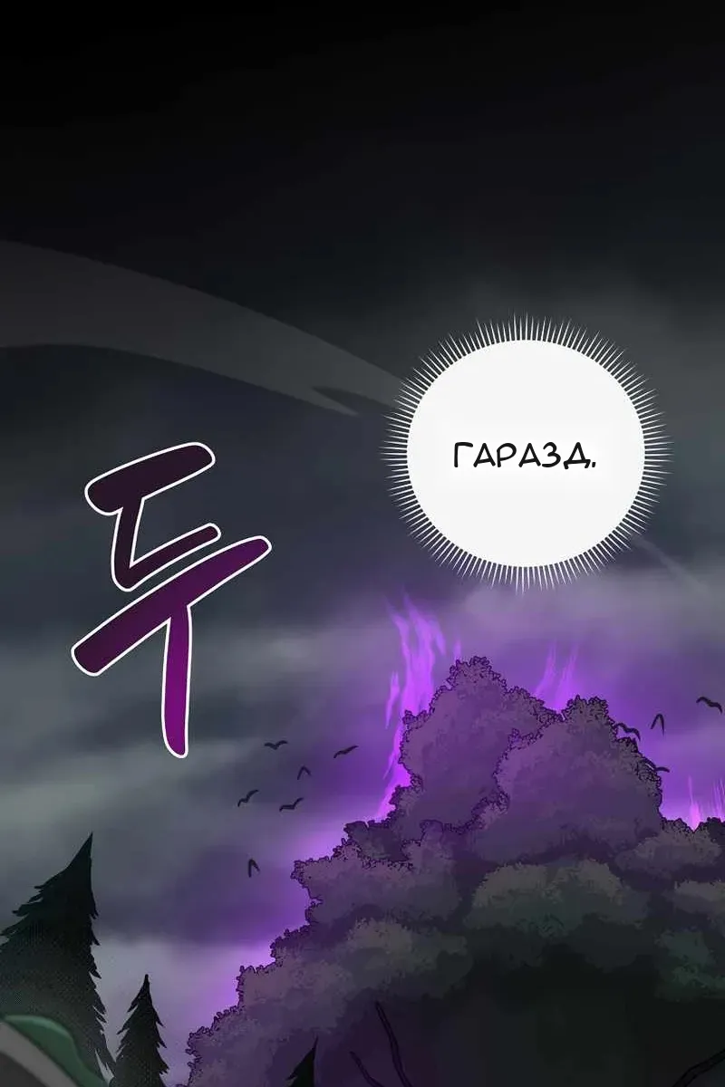 Сторінка 7