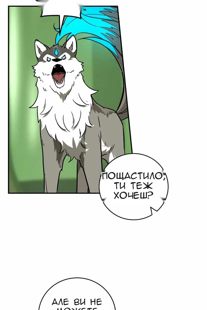 Сторінка 11