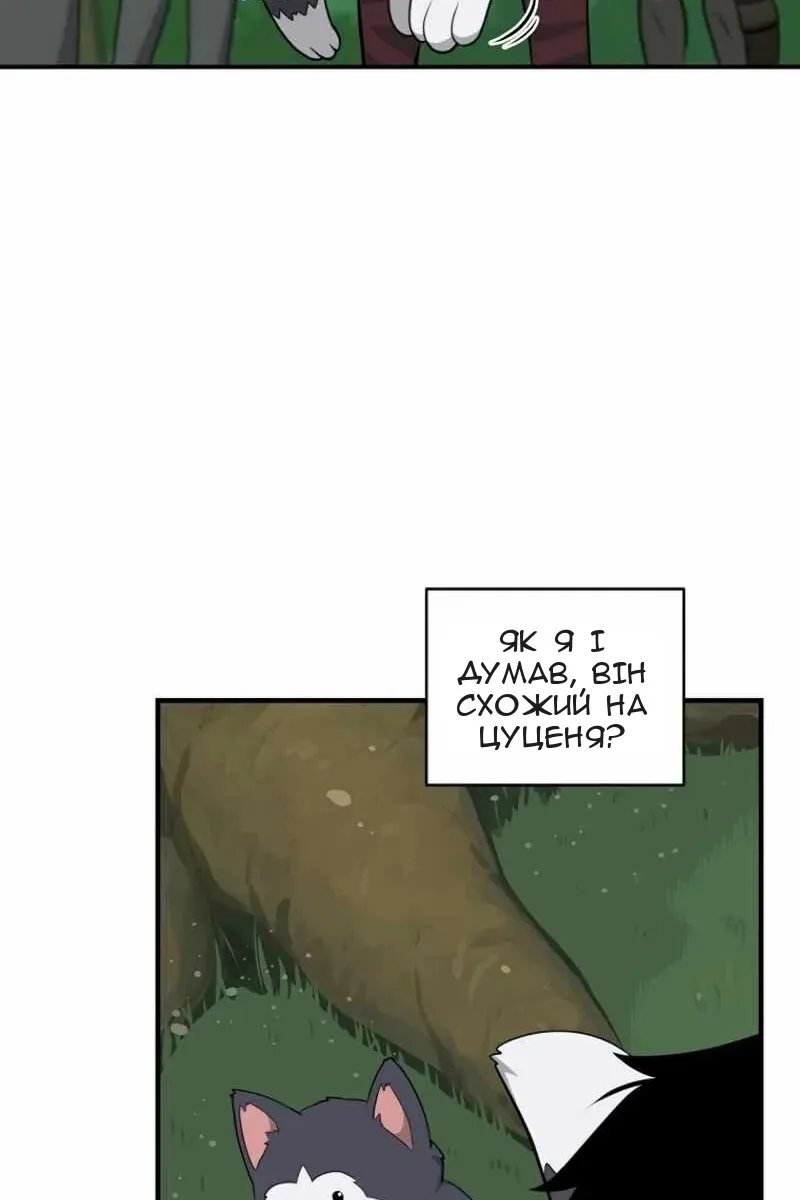 Сторінка 43