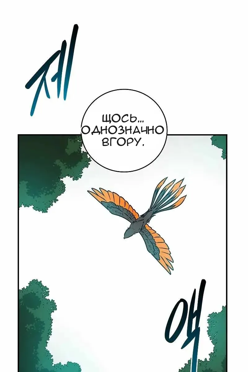 Сторінка 6