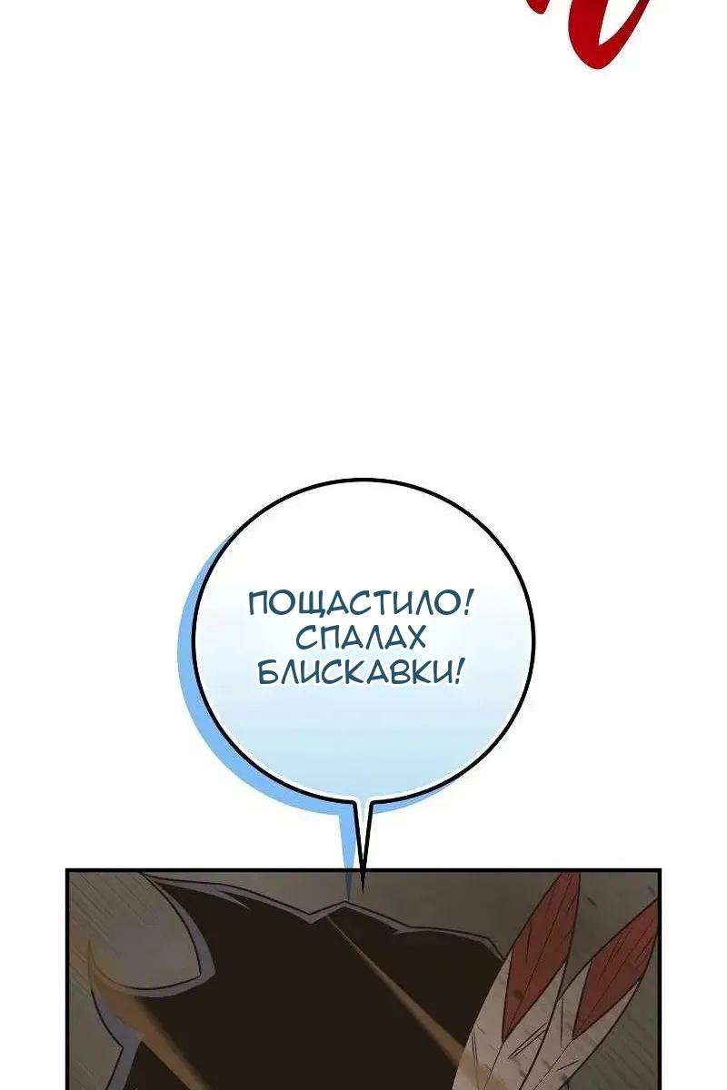 Сторінка 5