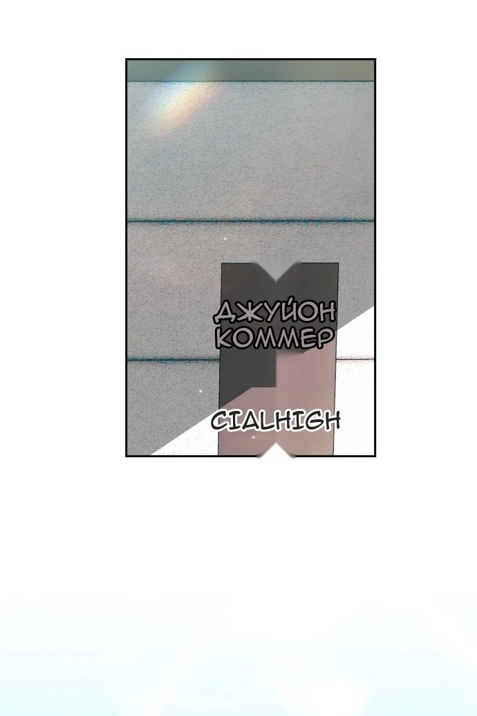 Сторінка 113