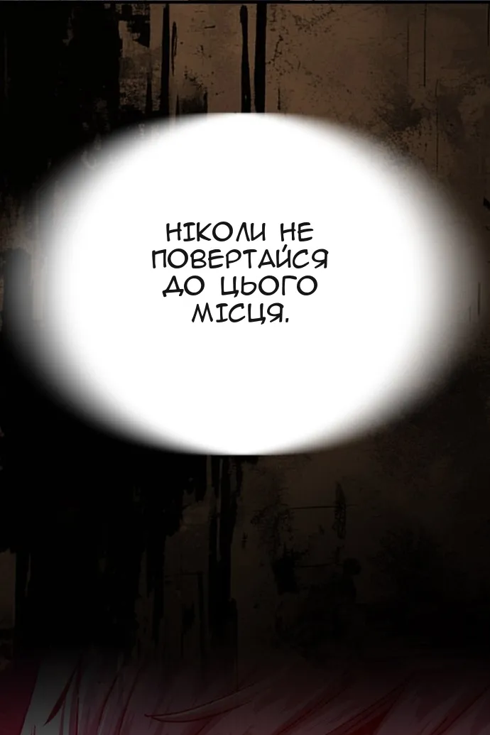 Сторінка 29