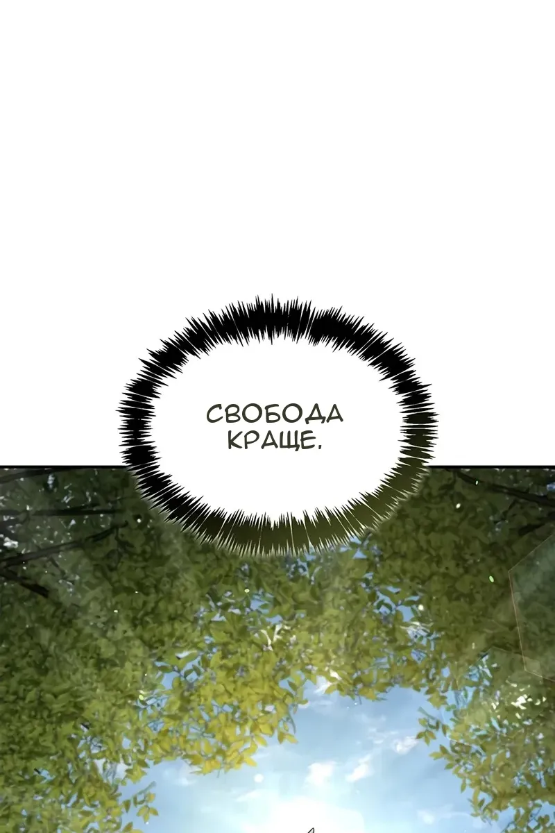 Сторінка 24