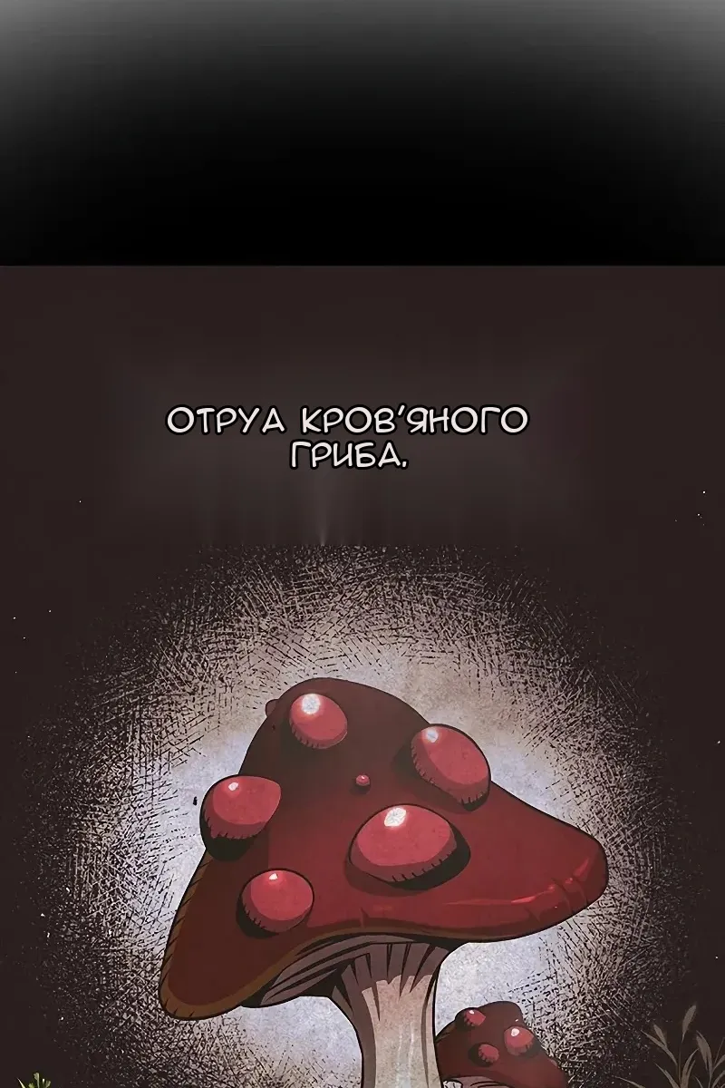 Сторінка 8