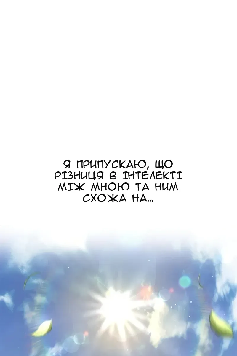 Сторінка 28