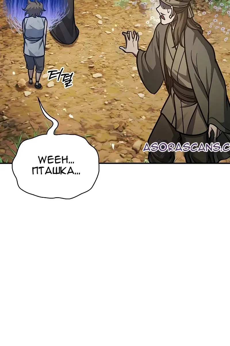 Сторінка 29