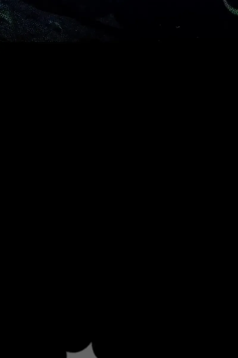 Сторінка 125