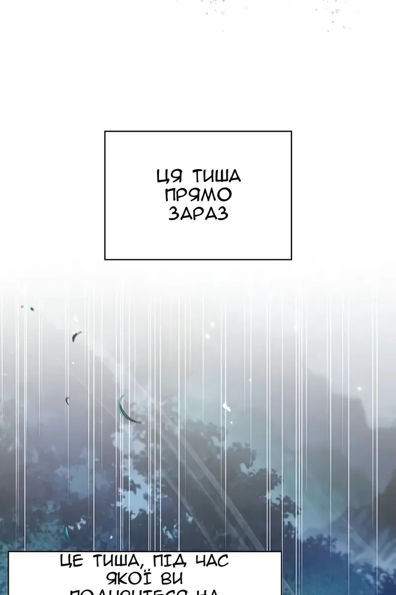 Сторінка 41