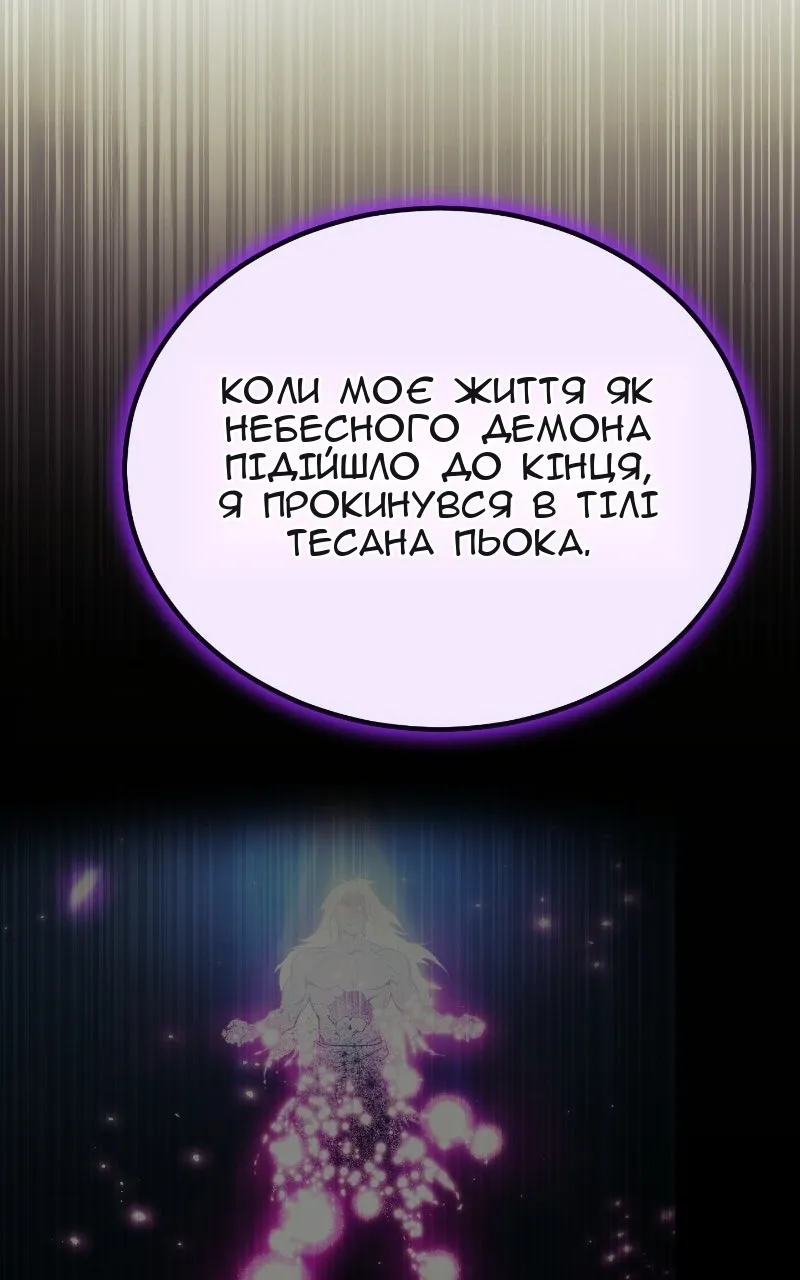 Сторінка 17