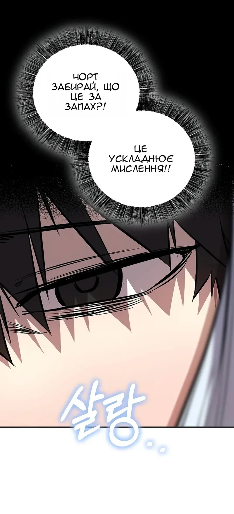 Сторінка 5
