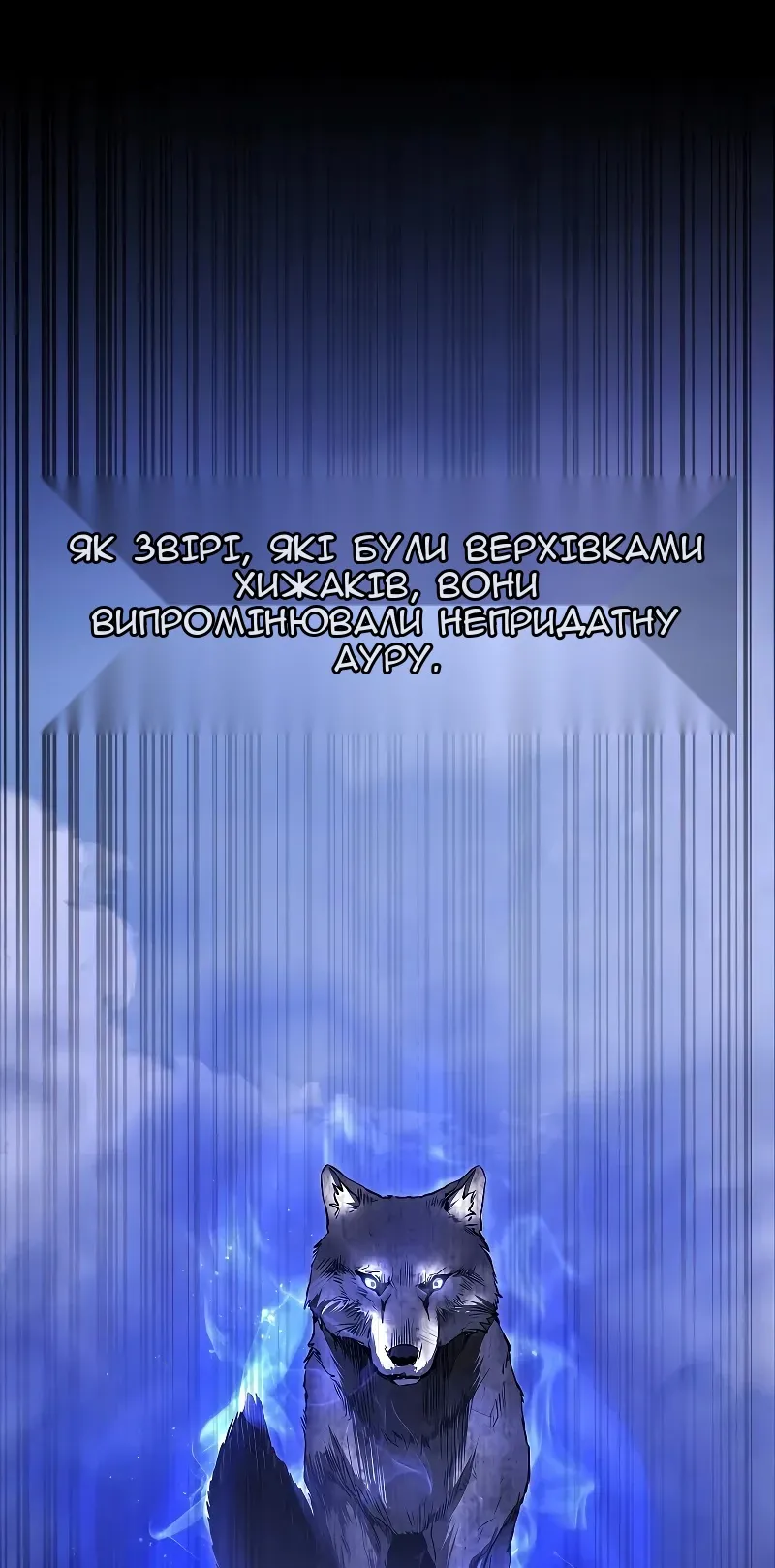Сторінка 17