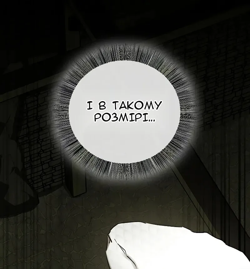 Сторінка 8