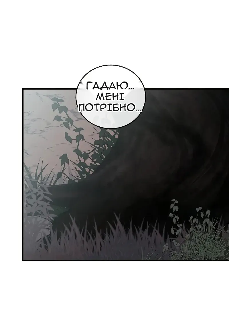 Сторінка 27