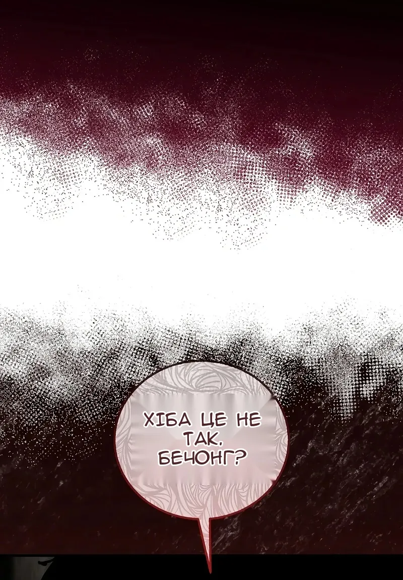 Сторінка 14