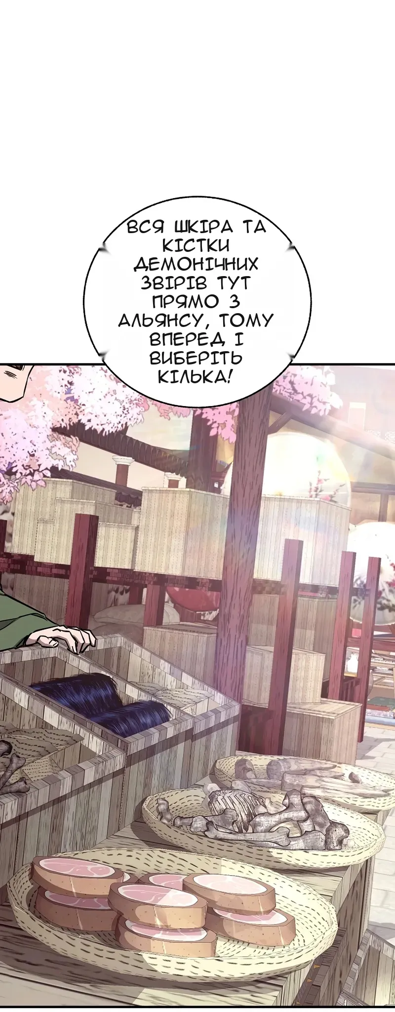 Сторінка 13