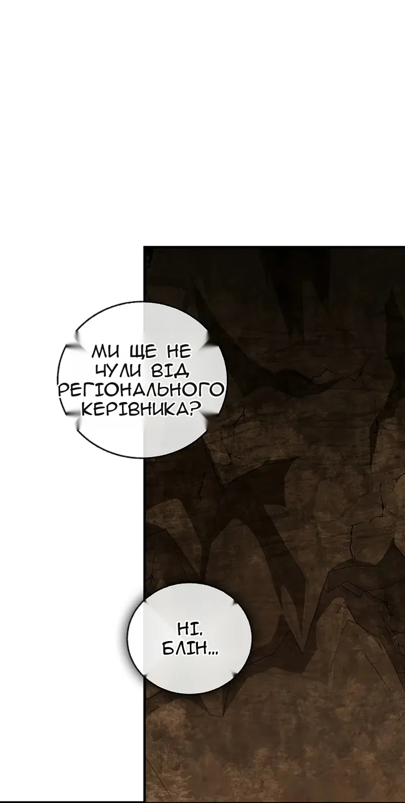 Сторінка 17