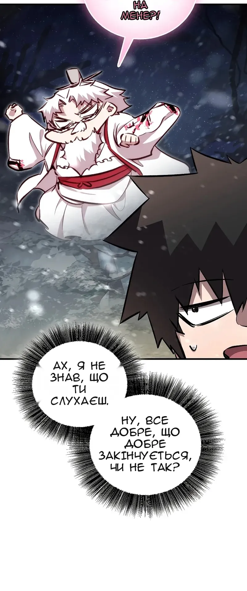 Сторінка 17