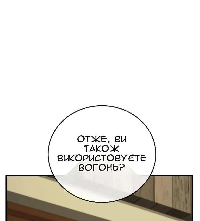 Сторінка 29