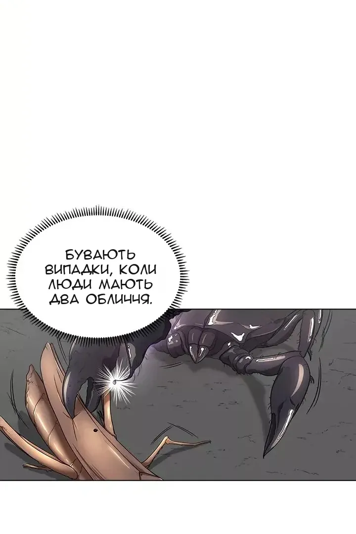 Сторінка 37
