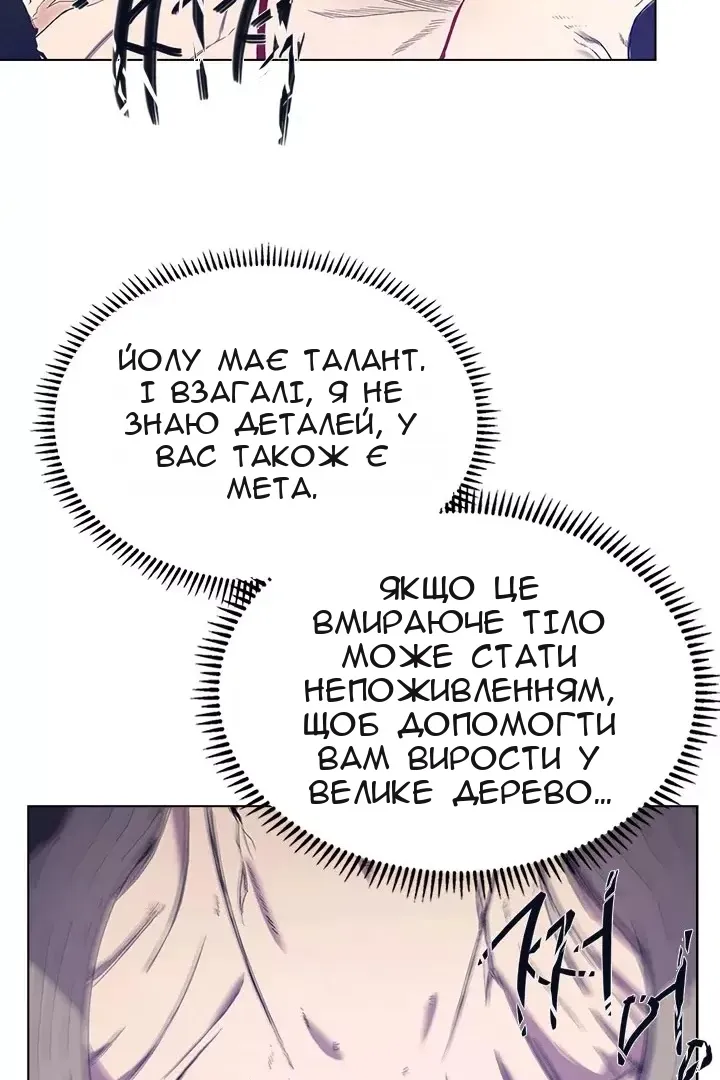 Сторінка 31