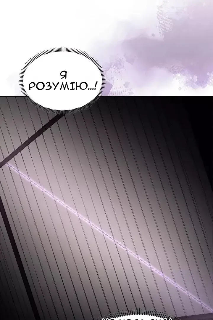 Сторінка 17