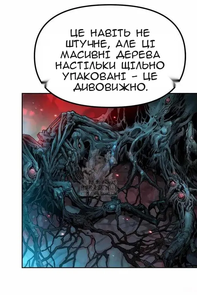 Сторінка 11