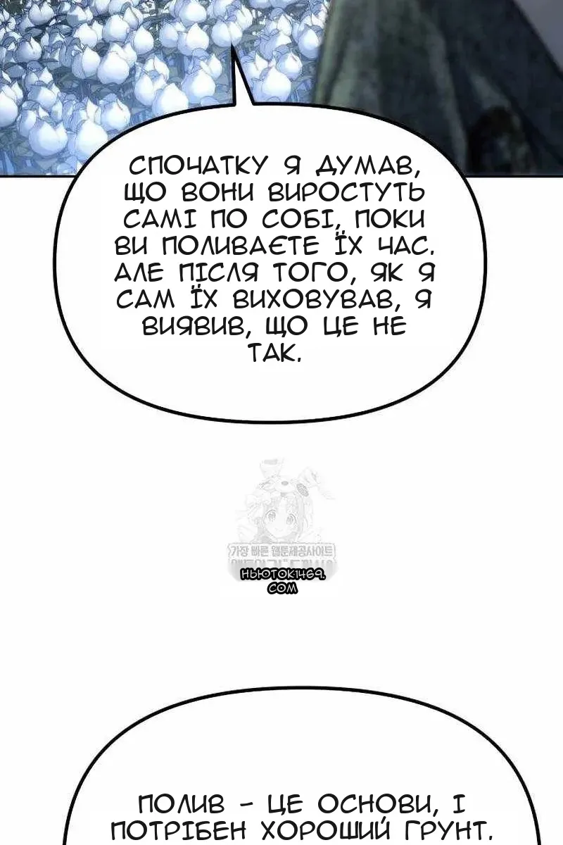 Сторінка 24