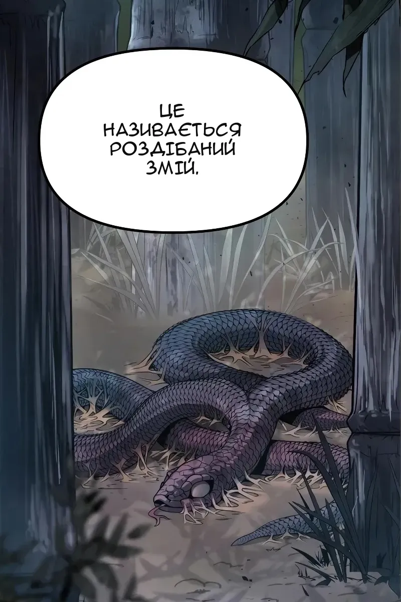 Сторінка 16