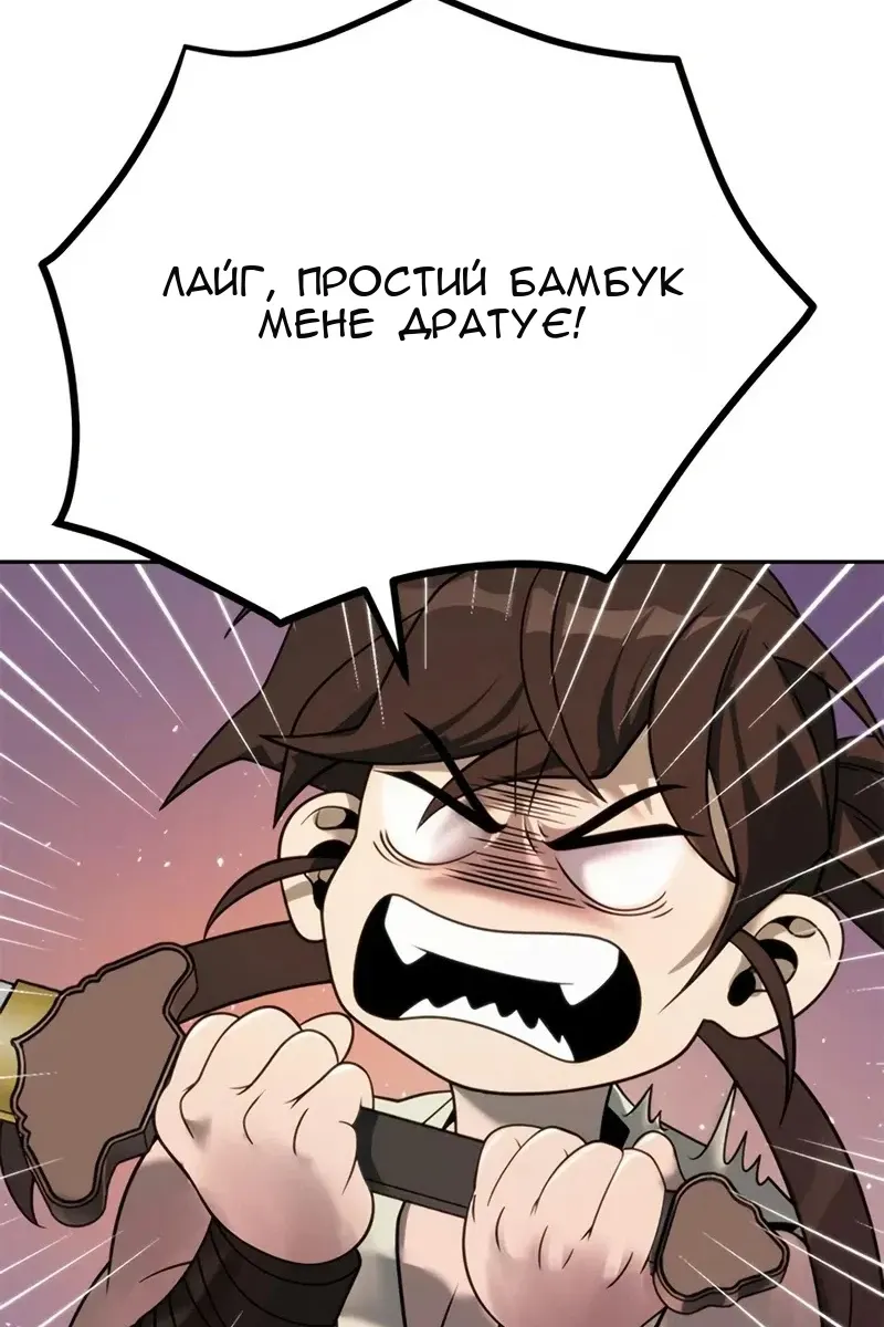 Сторінка 71