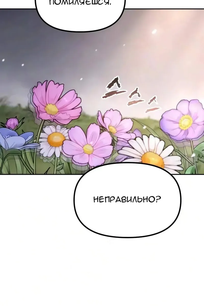 Сторінка 113