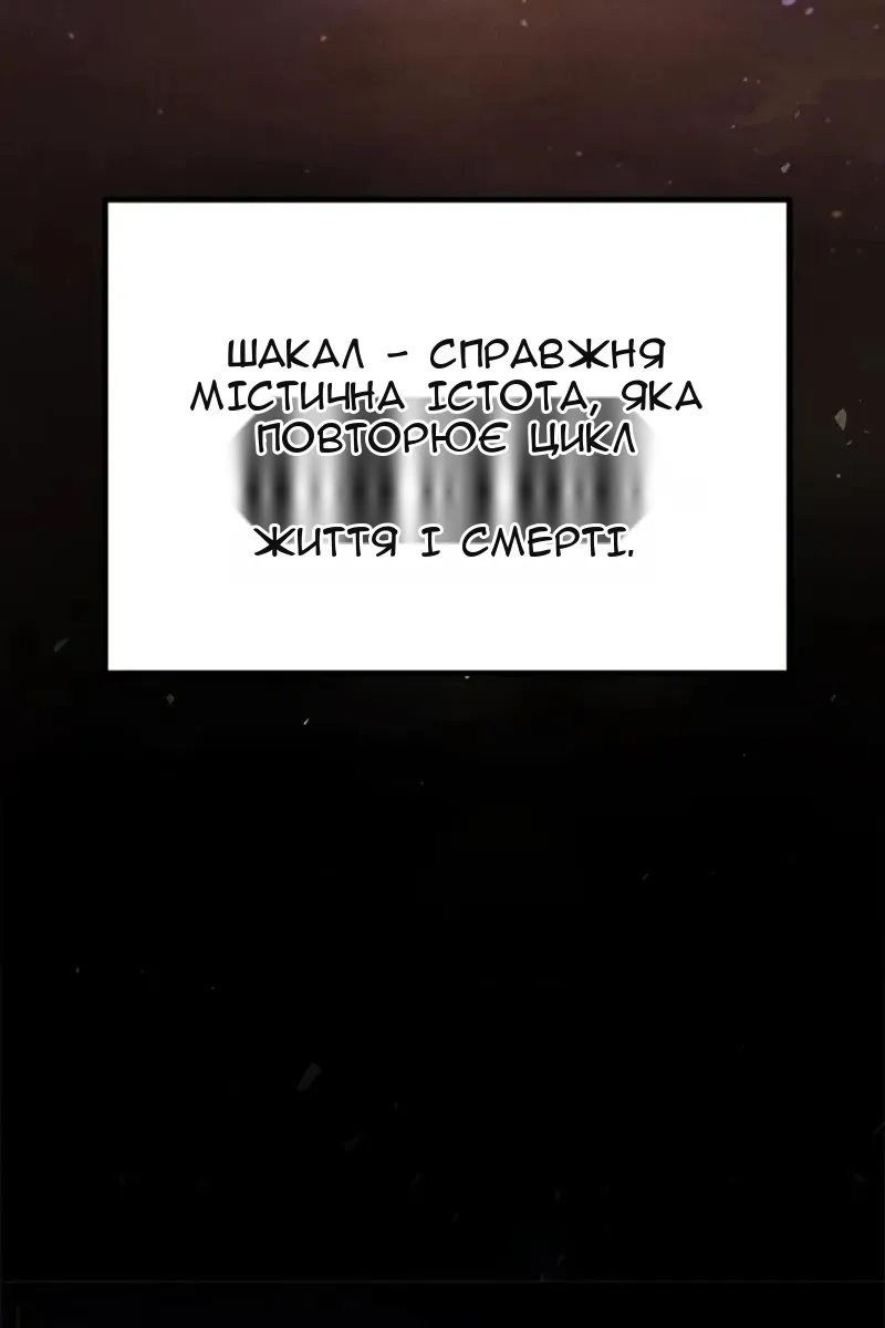 Сторінка 29