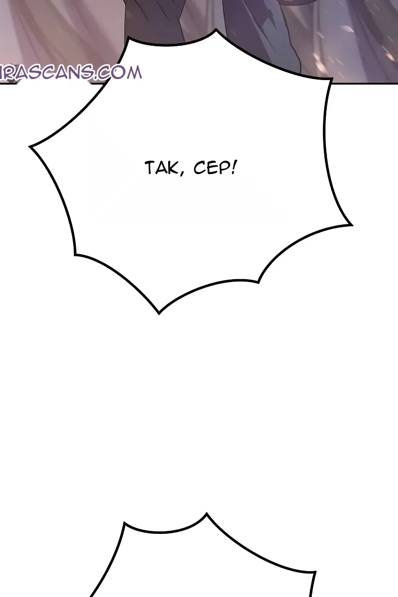 Сторінка 17