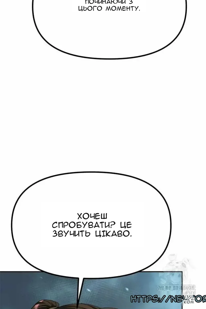 Сторінка 17