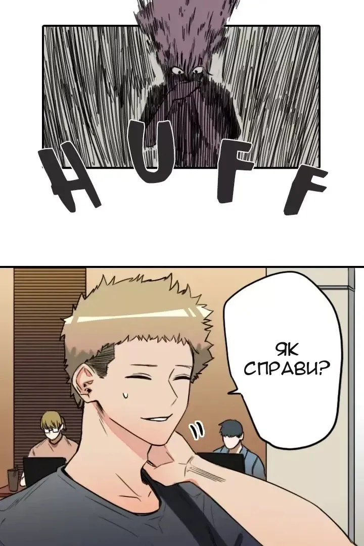 Сторінка 17