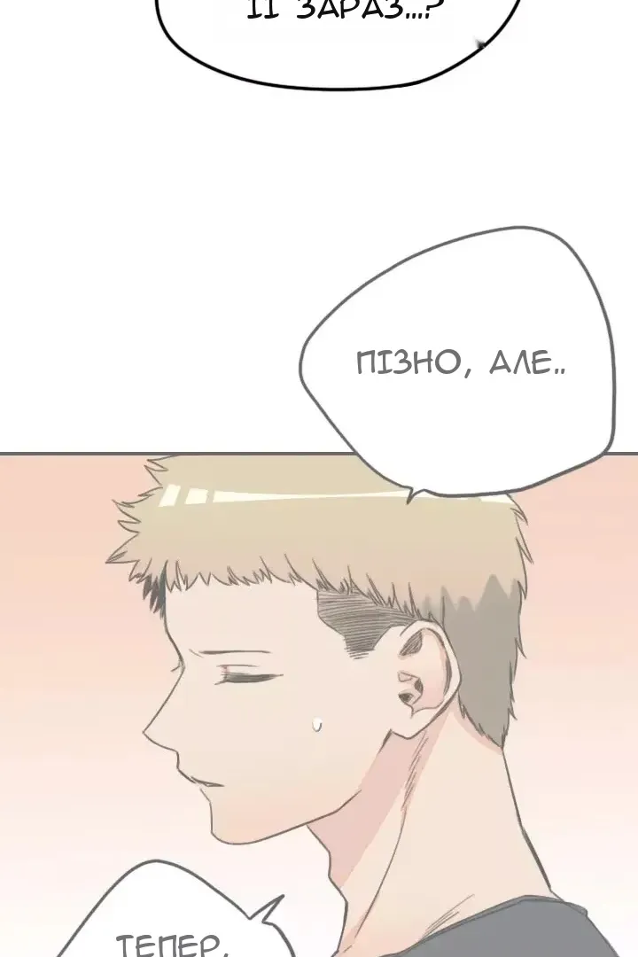 Сторінка 11