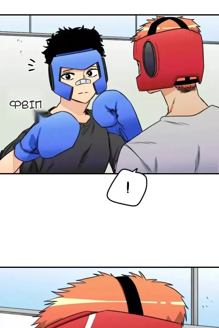 Сторінка 8