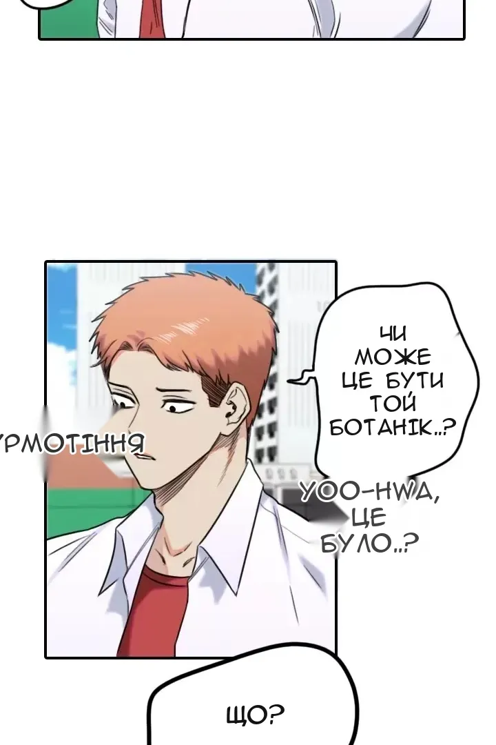 Сторінка 40