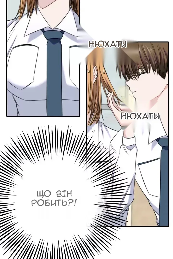 Сторінка 13