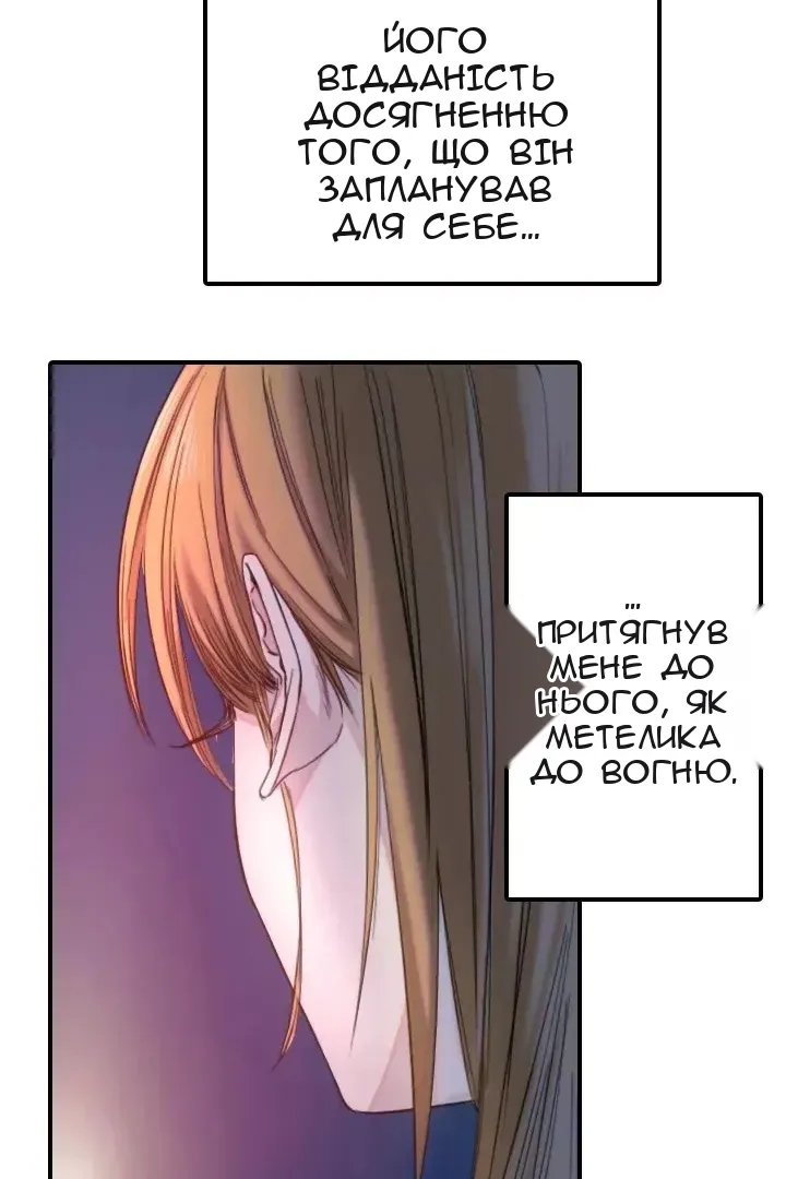 Сторінка 41