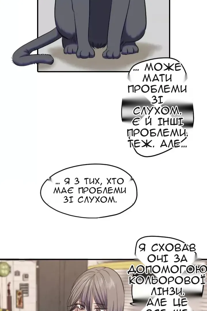 Сторінка 41