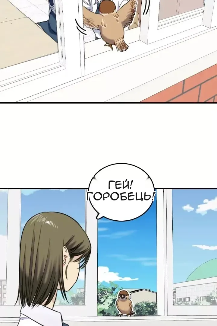 Сторінка 8