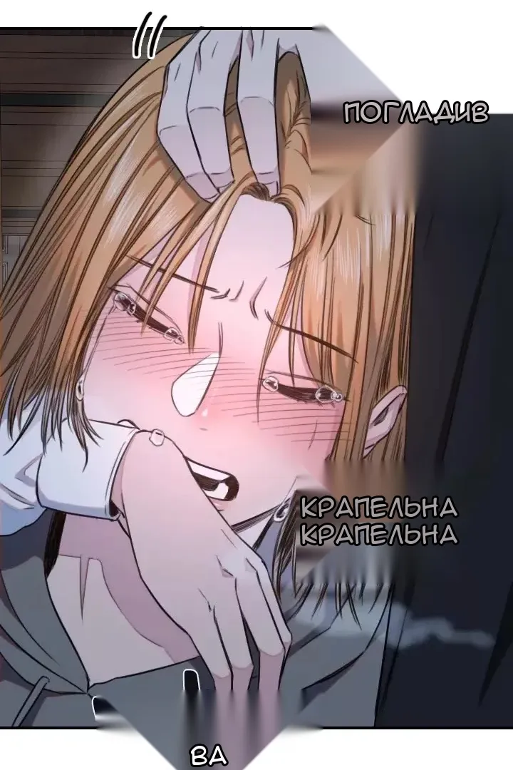 Сторінка 62