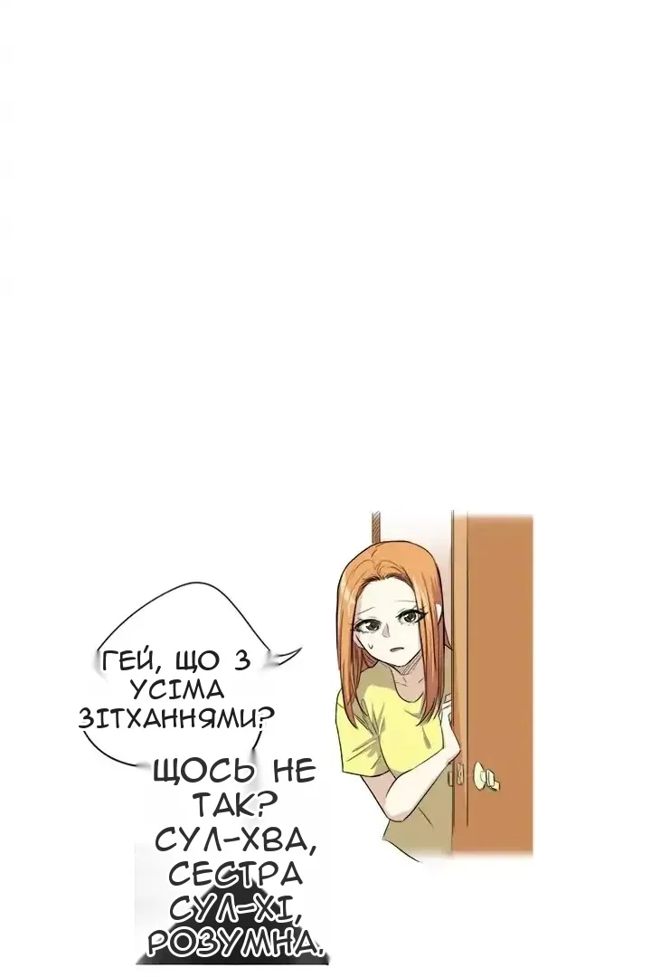 Сторінка 17