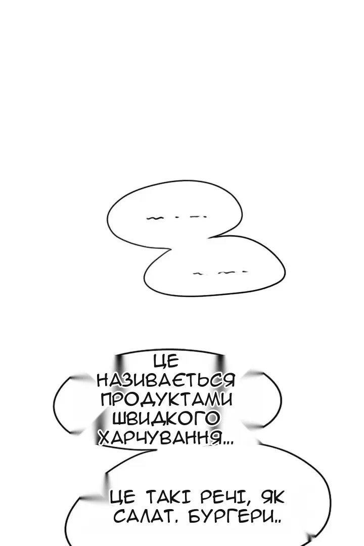 Сторінка 29